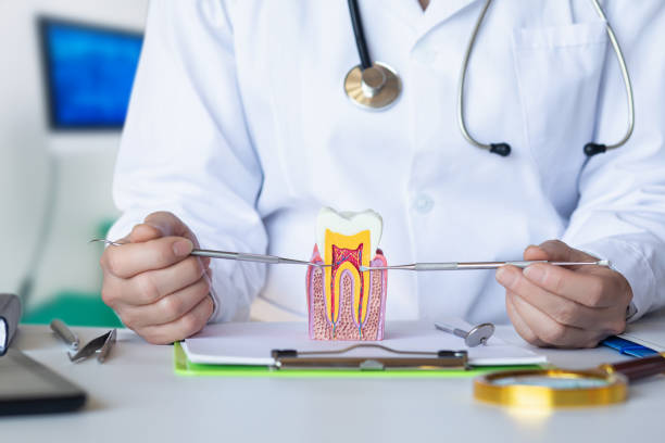Best Emergency Treatment for Toothache in Montgomery, WV